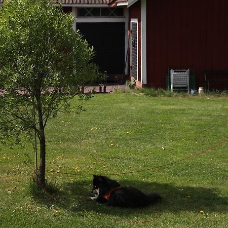 Mora Vandrarhem Och Gaesthem Vinäs Eksteriør billede