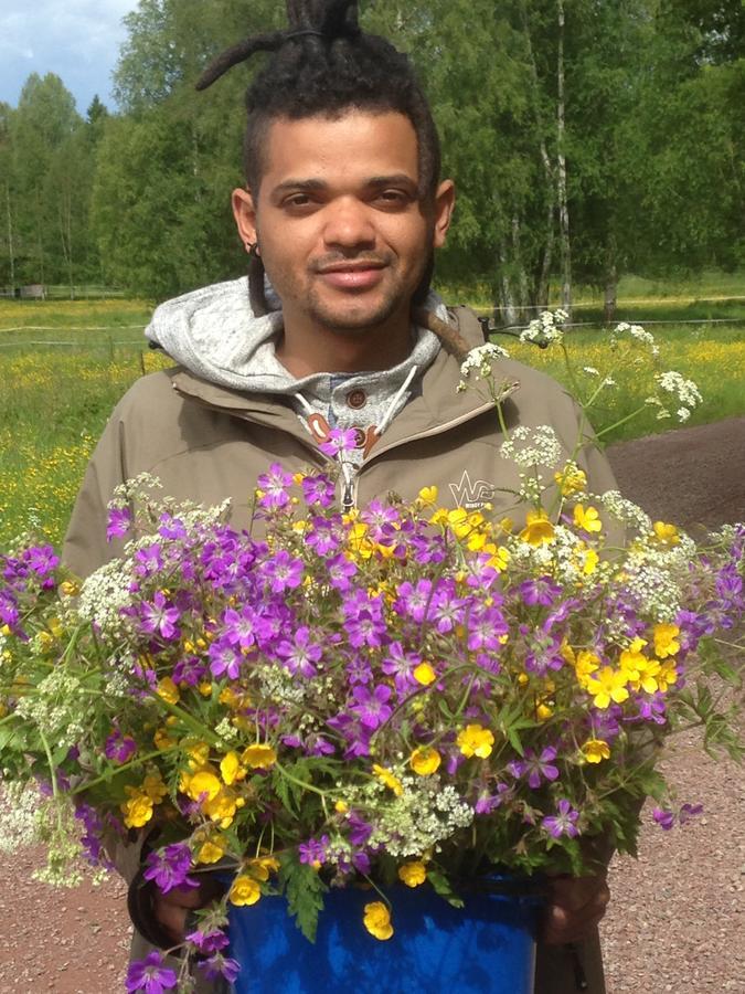 Mora Vandrarhem Och Gaesthem Vinäs Eksteriør billede