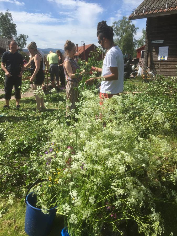 Mora Vandrarhem Och Gaesthem Vinäs Eksteriør billede